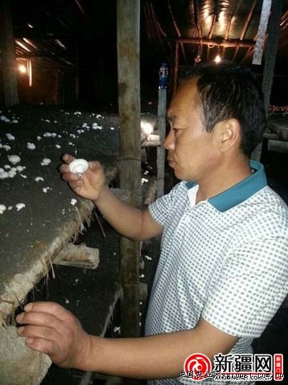 山西：农业大学食用菌团队在汾西县开展科技扶贫