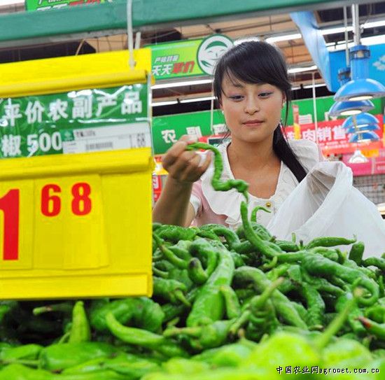 印加红辣椒市场价格