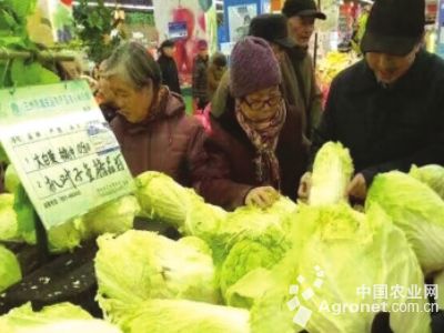 濮阳王助蔬菜包菜价格
