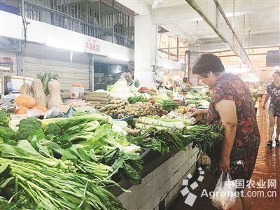 791韭菜种子价格多少钱一斤