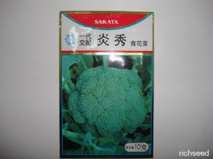 供应炎秀—青花菜种子