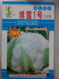 供应博雪1号110天—花椰菜种子