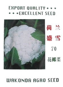 供应荷兰盛雪70花椰菜——花菜种子