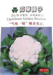 供应雪岭一号——花菜种子