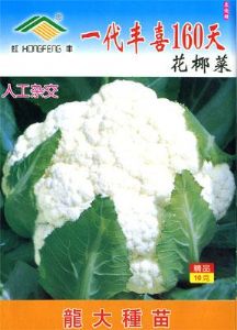 供应一代丰喜160天花椰菜-花椰菜种子