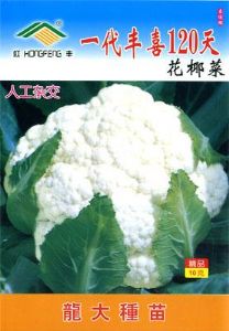 供应一代丰喜120天花椰菜-花椰菜种子