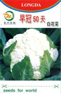 供应早冠50天白花菜-花椰菜种子