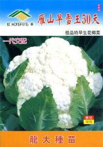 供应雁山早雪王50天花椰菜-花椰菜种子