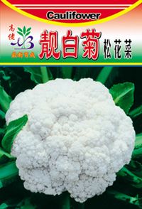 供应靓白菊花菜-花椰菜种子