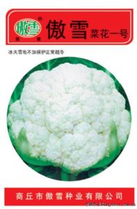 供应傲雪花菜一号—花椰菜种子