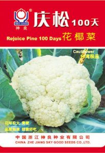 供应庆松100天-花椰菜种子