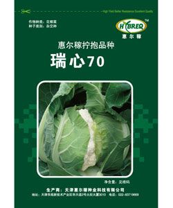 供应瑞心70—花菜种子