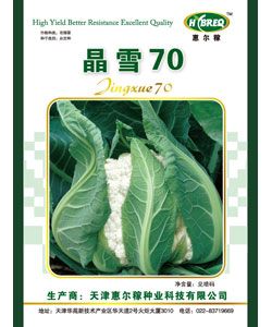 供应君心70—花菜种子