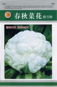 供应春秋菜花（精雪峰）—菜花种子