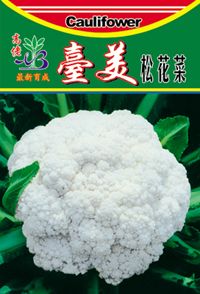 供应台美松花菜-花椰菜种子