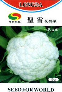 供应圣雪花椰菜-花椰菜种子