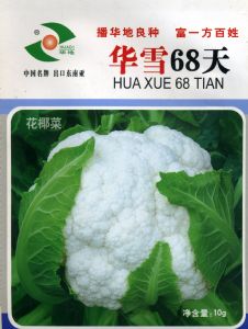 供应华雪68天—花椰菜种子