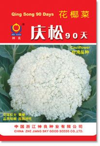 供应庆松90天—花椰菜种子