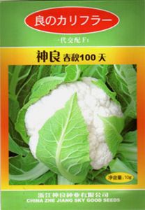 供应神良春秋100天—花椰菜种子