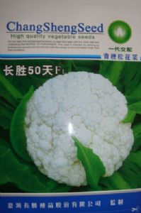 供应长胜50天F1—花椰菜种子