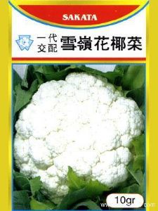 供应雪岭花椰菜—花椰菜种子