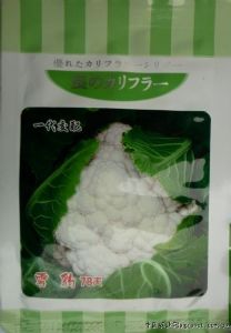 供应雪豹78天—花椰菜种子