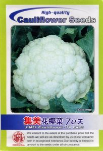 供应集美花椰菜70天—花椰菜种子