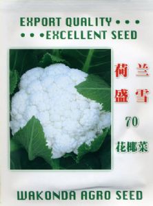 花椰菜种子——荷兰盛雪70