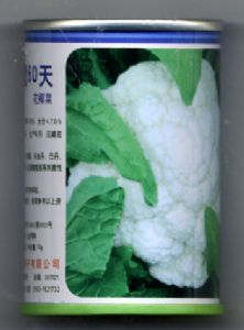 供应翔鹭60天—花椰菜种子