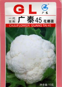 供应广泰45—花椰菜种子