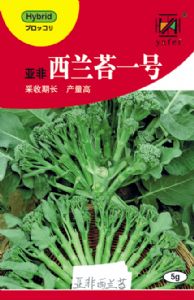 供应西兰苔一号—花椰菜种子