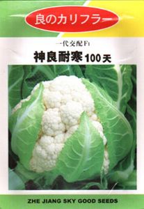 供应神良耐寒100天—花椰菜种子