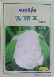 供应雪丽亚—花椰菜种子