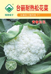 供应台丽耐热松花菜-花椰菜种子