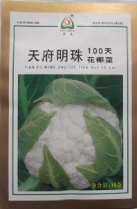 供应天府明珠100天