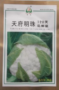 供应天府明珠120天