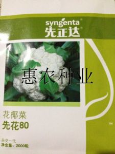 供应先正达先花80花椰菜种子