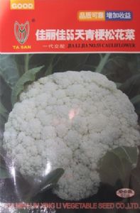 供应佳丽佳55天青梗松花菜—花菜种子