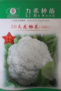 供应青梗白花50天花椰菜—花菜种子