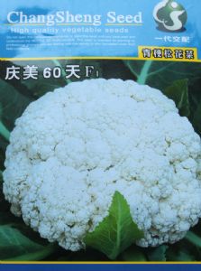 供应庆美60—花椰菜种子