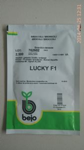 供应幸运LUCKY西兰花荷兰比久种子