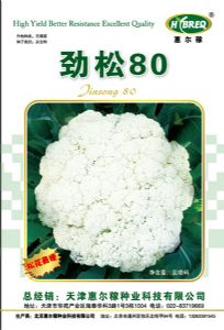 供应劲松80-花椰菜种子