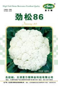 供应劲松86-花椰菜种子