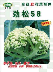 供应劲松58-花椰菜种子